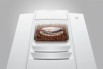 e4_pianowhite_grains