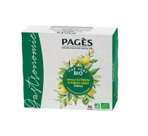 Thé vert Citron et citron vert BIO x 50 - Pagès [THBCV50]