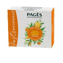 Thé vert Mangue abricot x 50 - Pagès [THBMA50]