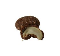 Chocottes - Noix de cajou chocolat au lait et coco - BIO