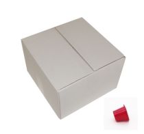 Café dosette compatible Nespresso Cesare x100