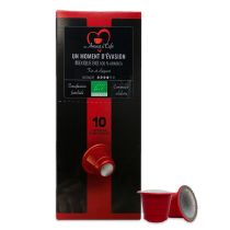 Dosettes BIO pour Nespresso Un Moment d'Evasion x10