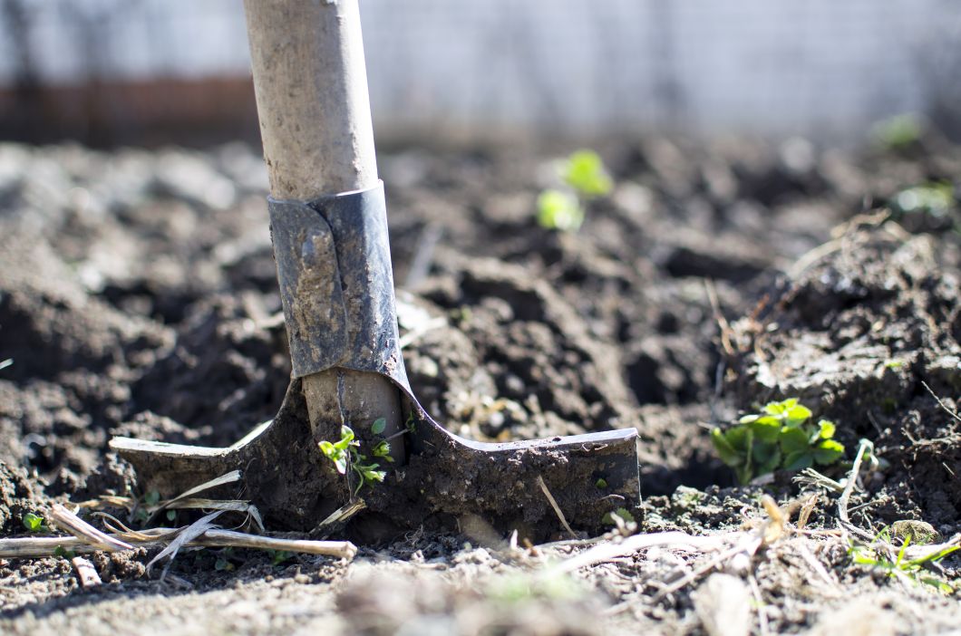 Comment prendre soin de vos plantes avec le café