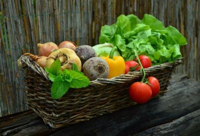 Journée mondiale de l'Alimentation 2016