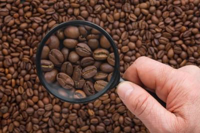 L'entretient de votre cafetière