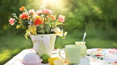 3 raisons de craquer pour le thé vert bio Pagès
