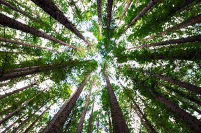 En novembre, faisons attention à notre planète
