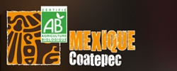 Café Coatepec, un café du Mexique fin, aromatique et digeste