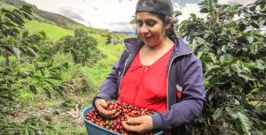 Les femmes dans le monde du café
