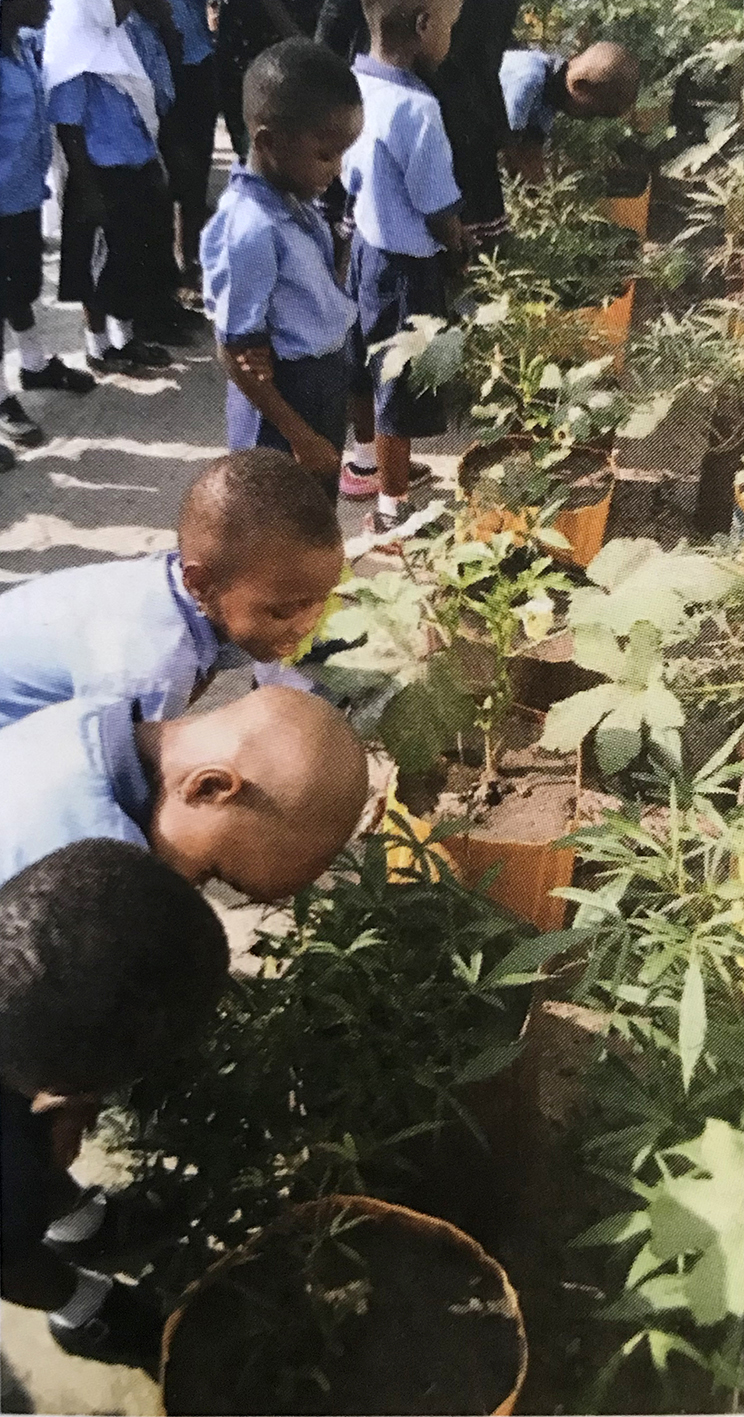 Les enfants de Lukema au potager