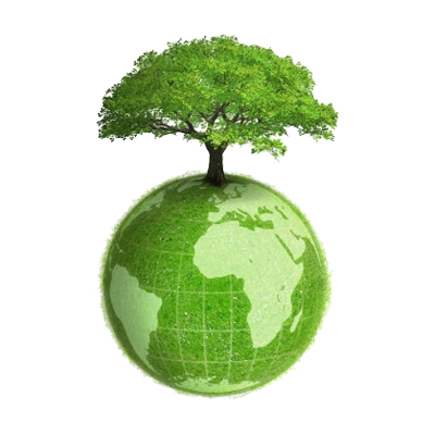 terre arbre