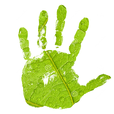 main verte